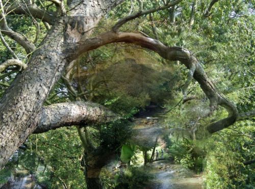 Marchland-Mystery-No.3