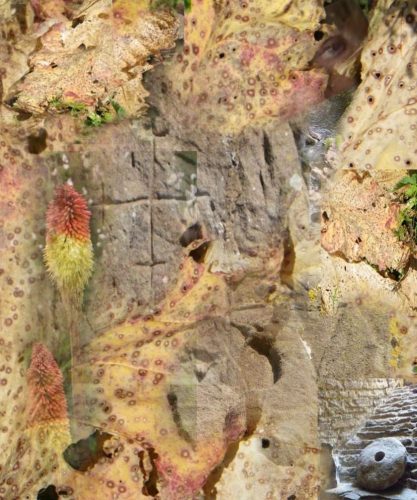 Marchland-Mystery-No.7